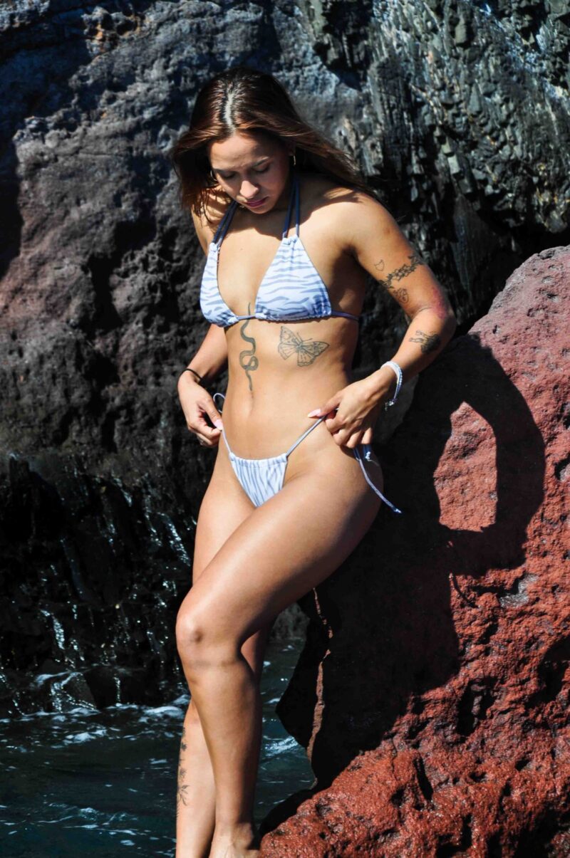 bikini zebra